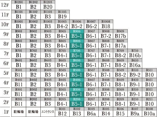 B5-1 type